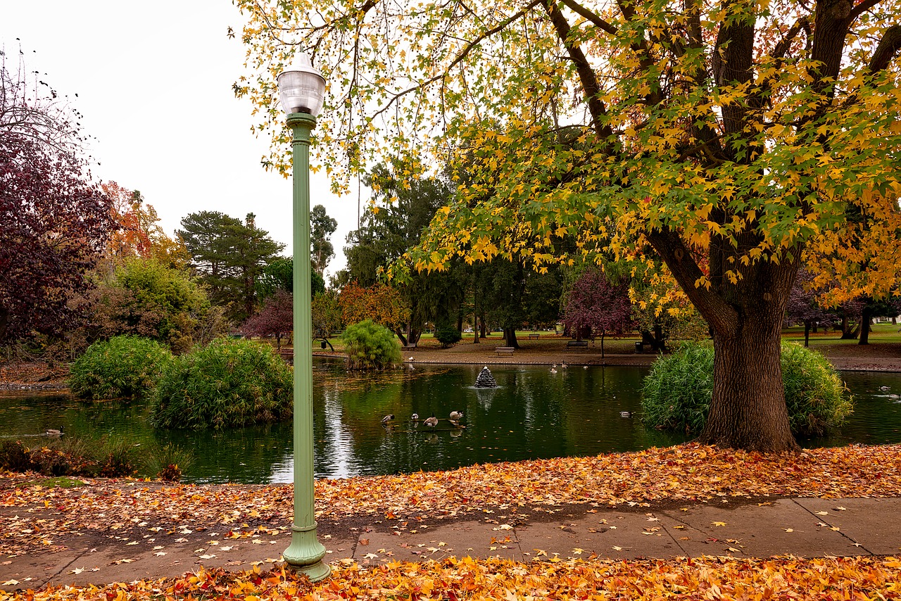 sacramento, california, seasons